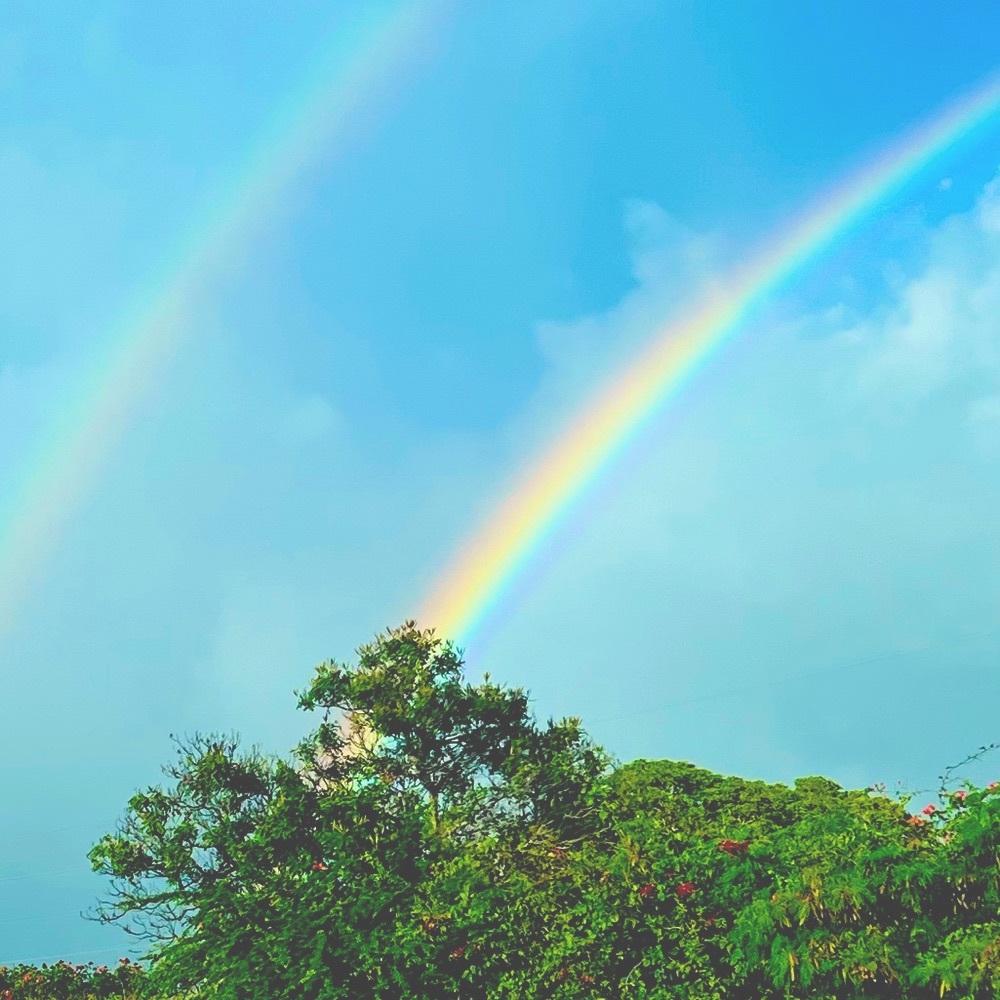 Meet your Posher, Candice